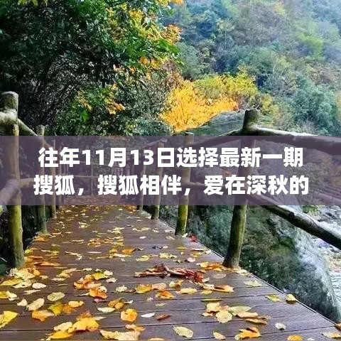 搜狐相伴，爱在深秋的日常小事记录