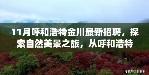 呼和浩特金川十一月招聘启航，自然美景之旅，寻找内心的宁静与平和之旅