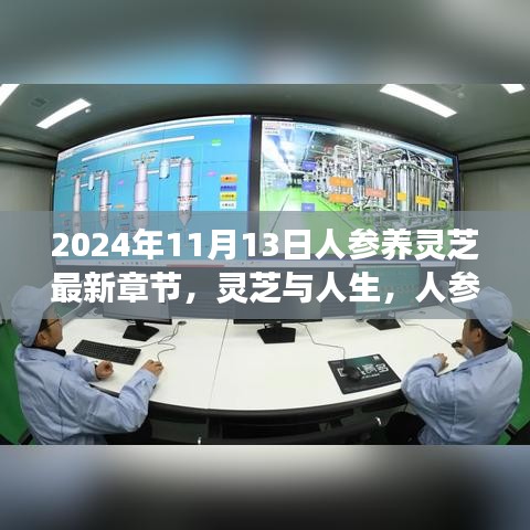 人参养灵芝，友情故事与奇妙日常，最新章节揭晓于2024年11月13日