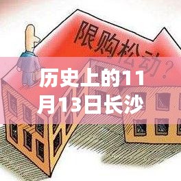 历史上的11月13日长沙购房资格深度解析与群体分析，特性、体验、对比全解读