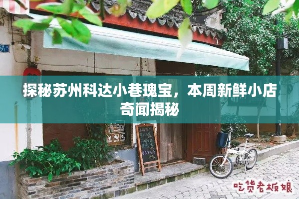 探秘苏州科达小巷瑰宝，本周新鲜小店奇闻揭秘