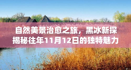 自然美景治愈之旅，黑冰新探揭秘往年11月12日的独特魅力