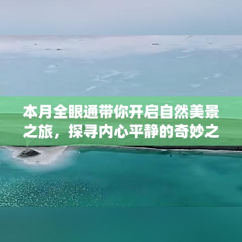 本月全眼通带你开启自然美景之旅，探寻内心平静的奇妙之旅