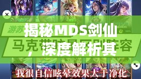 揭秘MDS剑仙，深度解析其最新视频，2024年11月13日独家内容预览