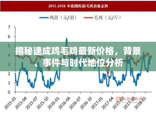 揭秘速成鸡毛鸡最新价格，背景、事件与时代地位分析