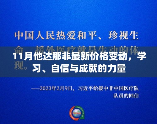 11月他达那非最新价格变动，学习、自信与成就的力量