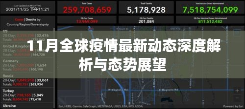 11月全球疫情最新动态深度解析与态势展望