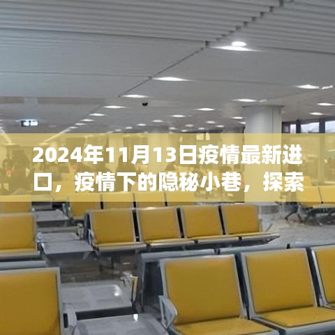 疫情下的隐秘小巷，探索独特进口特色小店的奇妙之旅（最新疫情进口资讯，2024年11月）