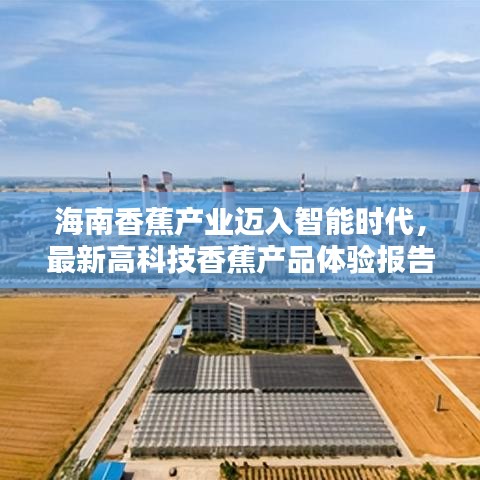 海南香蕉产业迈入智能时代，最新高科技香蕉产品体验报告（2024年11月13日）