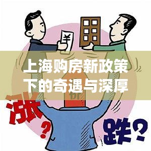 上海购房新政策下的奇遇与深厚友情，限购政策下的购房体验与友情故事