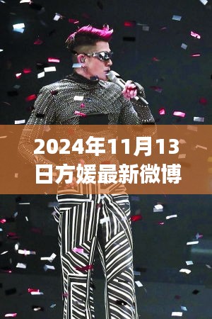 方媛最新微博动态，星光闪耀与影响力回顾，2024年11月13日记录时刻