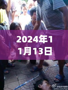 2024年11月13日城管与瓜农冲突最新进展，城管打死瓜农事件最新消息报道