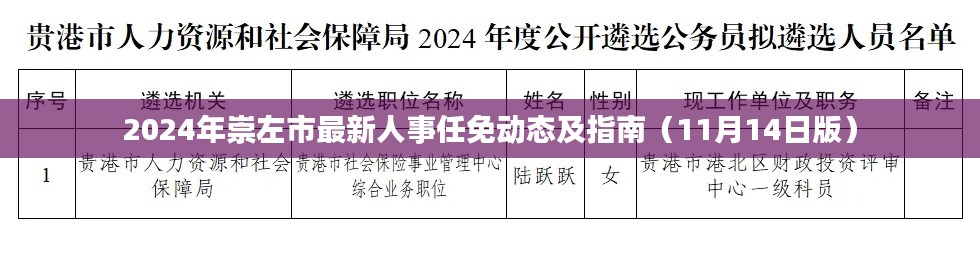 2024年崇左市最新人事任免动态及指南（11月14日版）