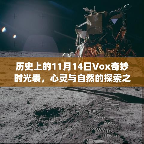 历史上的11月14日Vox奇妙时光表，心灵与自然的探索之旅