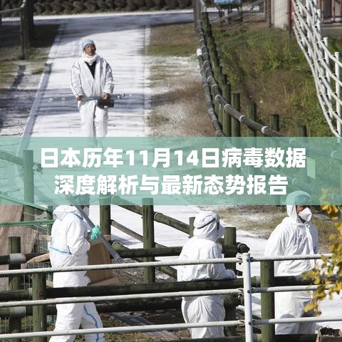 日本历年11月14日病毒数据深度解析与最新态势报告