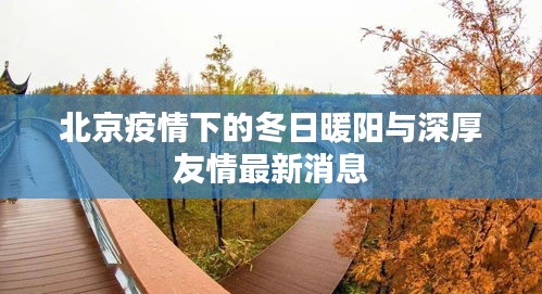 北京疫情下的冬日暖阳与深厚友情最新消息