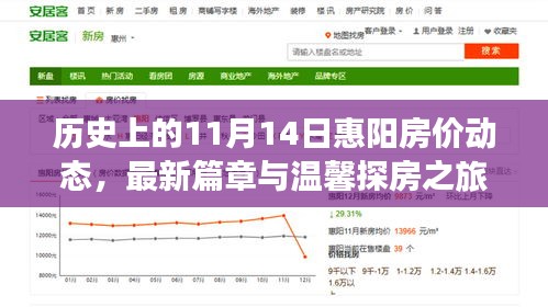 历史上的11月14日惠阳房价动态，最新篇章与温馨探房之旅