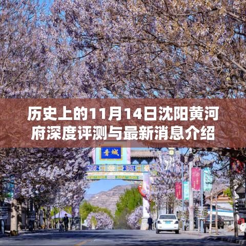 项目介绍 第47页