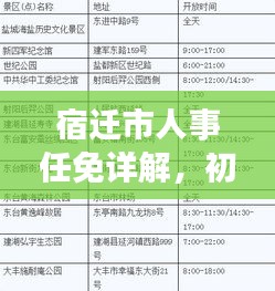 宿迁市人事任免详解，初学者与进阶用户指南（针对往年人事任免变化）