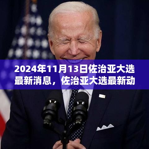 2024年佐治亚大选最新动态与全攻略，11月13日选举参与指南