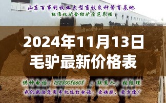 揭秘毛驴市场最新动态，2024年毛驴价格表及市场动态分析