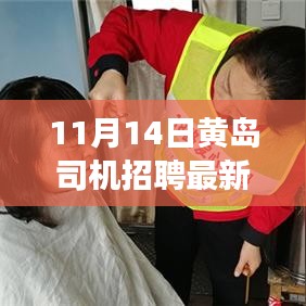 11月14日黄岛司机招聘最新信息及行业脉动