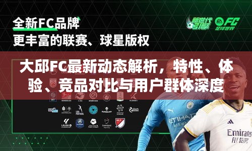 大邱FC最新动态解析，特性、体验、竞品对比与用户群体深度分析（11月14日）