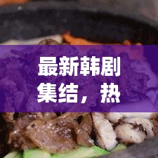 最新韩剧集结，热门剧集一网打尽，深度解析引领追剧热潮