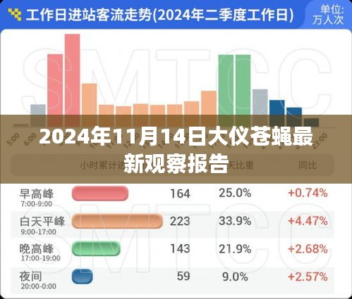 2024年11月14日大仪苍蝇最新观察报告