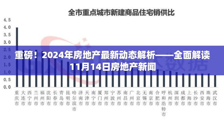 重磅！2024年房地产最新动态解析——全面解读11月14日房地产新闻