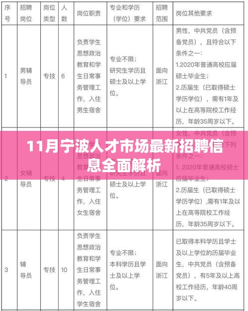 11月宁波人才市场最新招聘信息全面解析