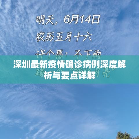 深圳最新疫情确诊病例深度解析与要点详解