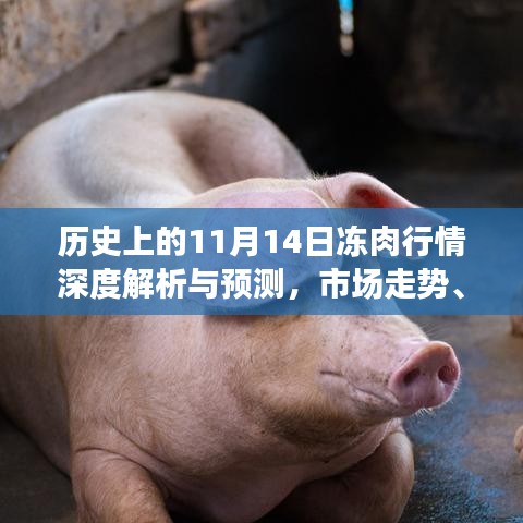 历史上的11月14日冻肉行情深度解析与预测，市场走势、影响因素及前景展望