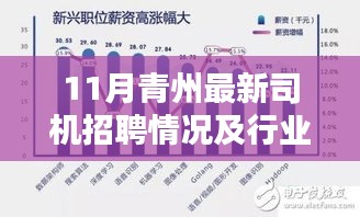 11月青州最新司机招聘情况及行业现状与个人观点探析