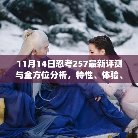 11月14日忍考257最新评测与全方位分析，特性、体验、对比及用户群体洞察