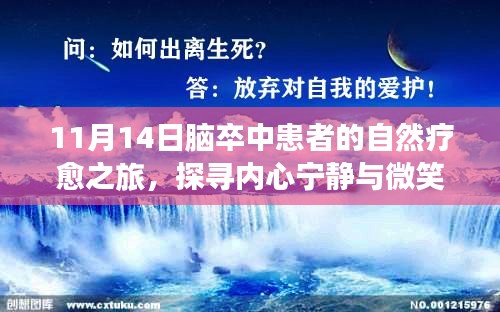 11月14日脑卒中患者的自然疗愈之旅，探寻内心宁静与微笑的力量