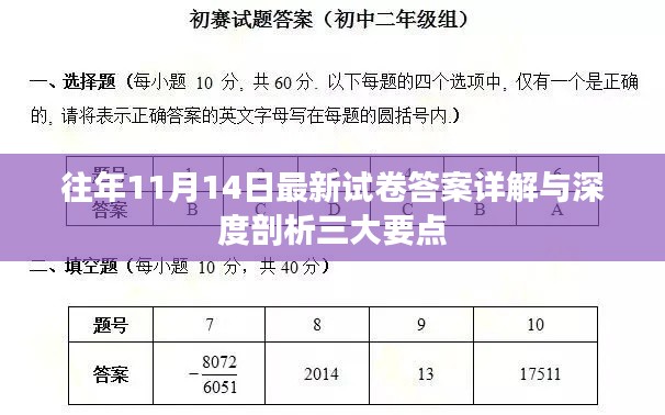 往年11月14日最新试卷答案详解与深度剖析三大要点