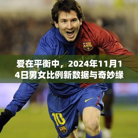 爱在平衡中，2024年11月14日男女比例新数据与奇妙缘分日