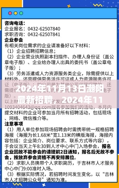 2024年11月13日潮阳最新招聘动态及职业机会解析