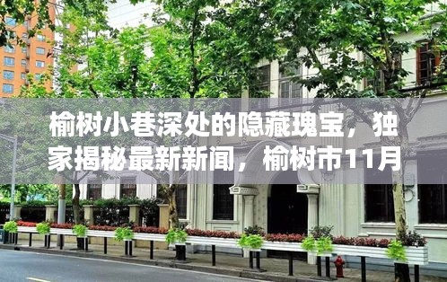 榆树小巷深处的隐藏瑰宝，独家揭秘最新新闻，榆树市11月14日深度报道