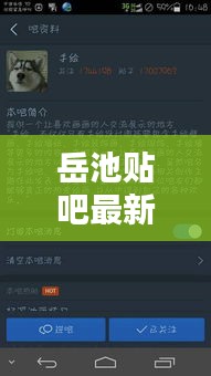 岳池贴吧最新新闻获取指南，从初学者到进阶用户全攻略（11月14日更新）