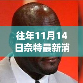 往年11月14日奈特最新消息深度解读与观点探讨日