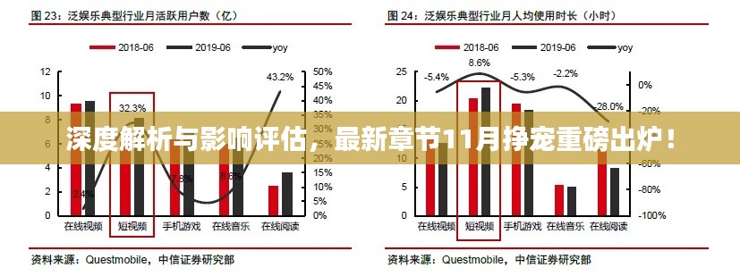 深度解析与影响评估，最新章节11月挣宠重磅出炉！