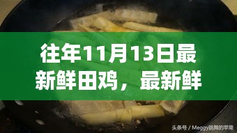 秋日厨房冒险，寻找最鲜田鸡与友情的传奇故事