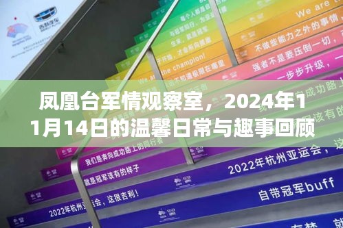 凤凰台军情观察室，2024年11月14日的温馨日常与趣事回顾