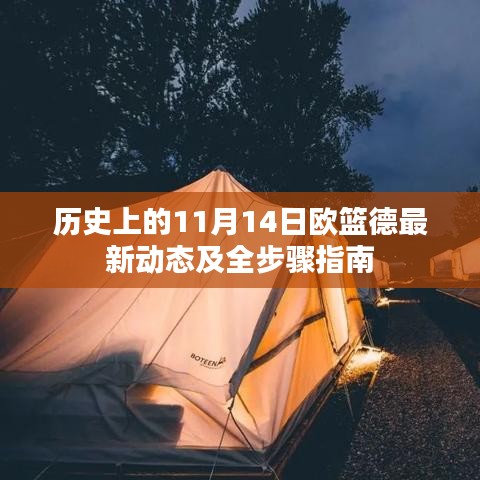 历史上的11月14日欧篮德最新动态及全步骤指南