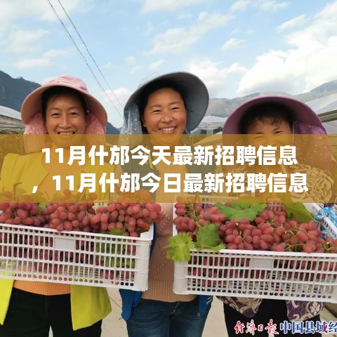 11月什邡最新招聘信息汇总，就业市场观察与个人立场探讨