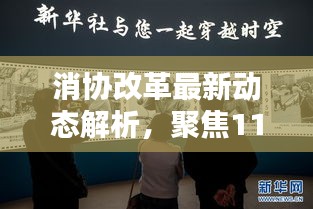 消协改革最新动态解析，聚焦11月14日新消息深度阐述