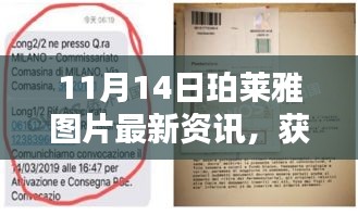 11月14日珀莱雅图片最新资讯，获取与解析步骤指南