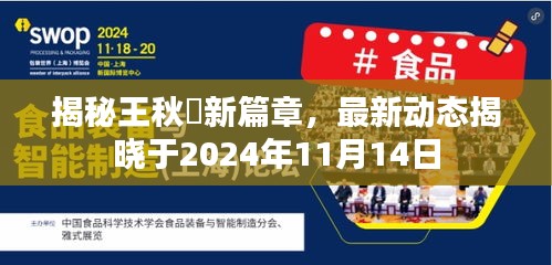 揭秘王秋彧新篇章，最新动态揭晓于2024年11月14日